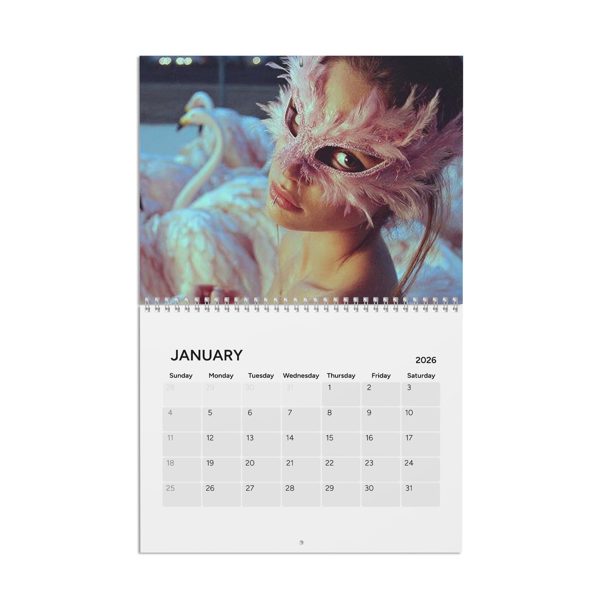 2026 Aesthetic Wall Calendar — Pink Art & Portrait Monthly Planner